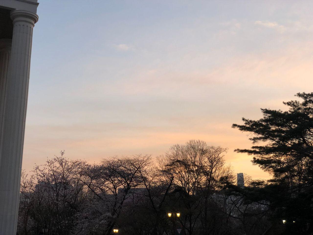 Take a walk on Kyung Hee campus with European architecture and cherry blossoms